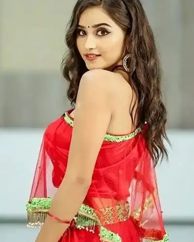Call Girls Service Anjangaon Surji